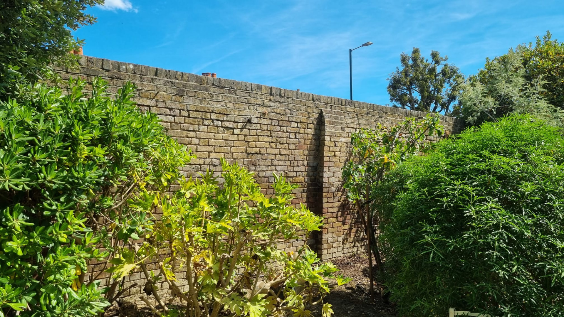 Long stock brick boundary wall in Hampton before lime repointing